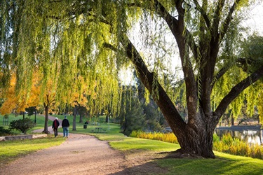 Lawson Park Mudgee