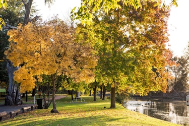 Lawson Park Mudgee