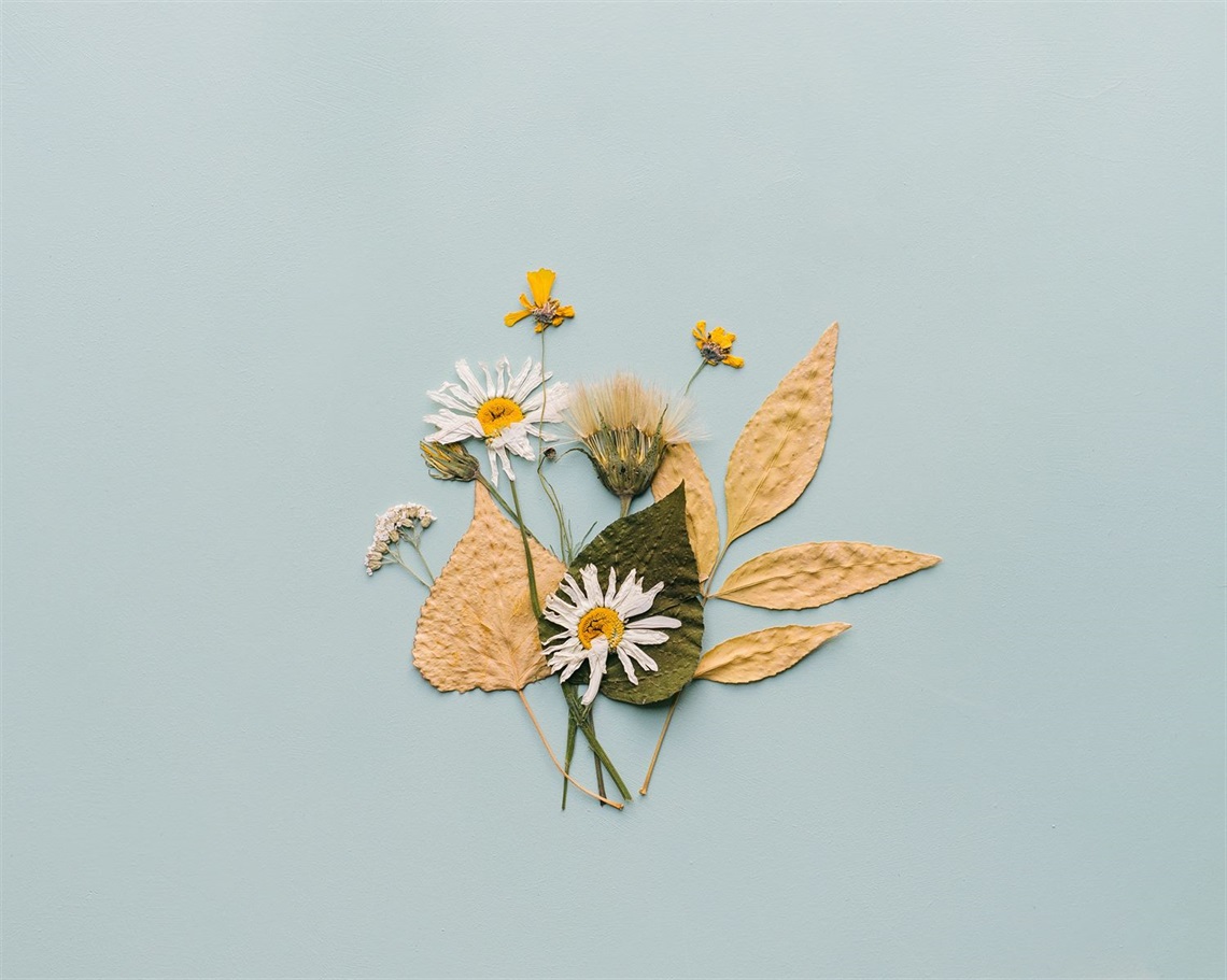 pressed flowers-unsplash.jpg