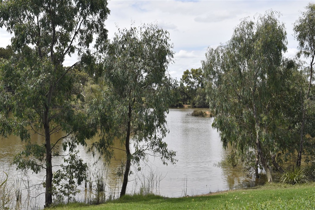 Grand Opening: Putta Bucca Wetlands Development Mid-Western Regional ...