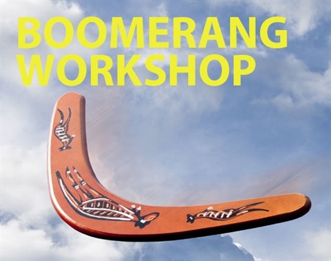 boomerang.jpg