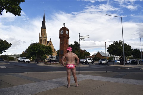 Budgy-in-Mudgee.jpg