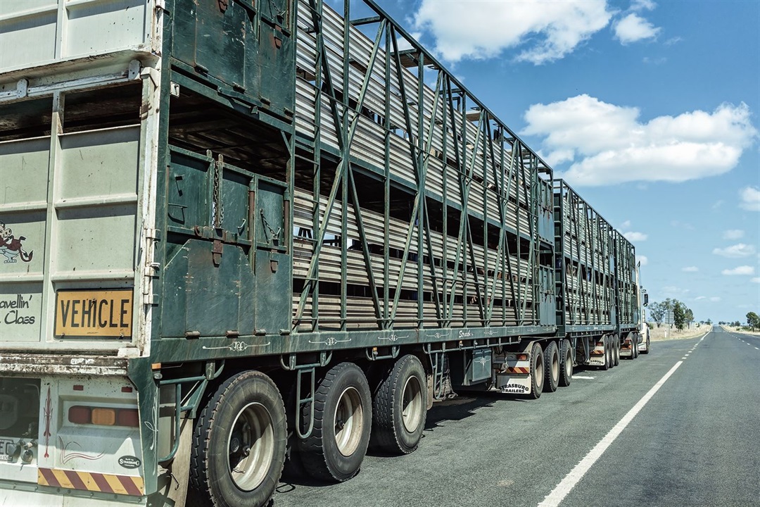 Mudgee Saleyards Truck Wash Resumes 24/7 Operation Mid-Western Regional ...