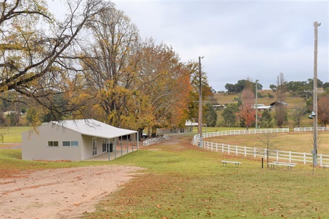 Rylstone Showground.jpg