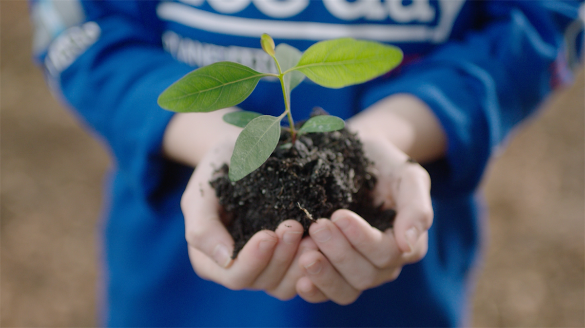 National Tree Day 2024 MidWestern Regional Council