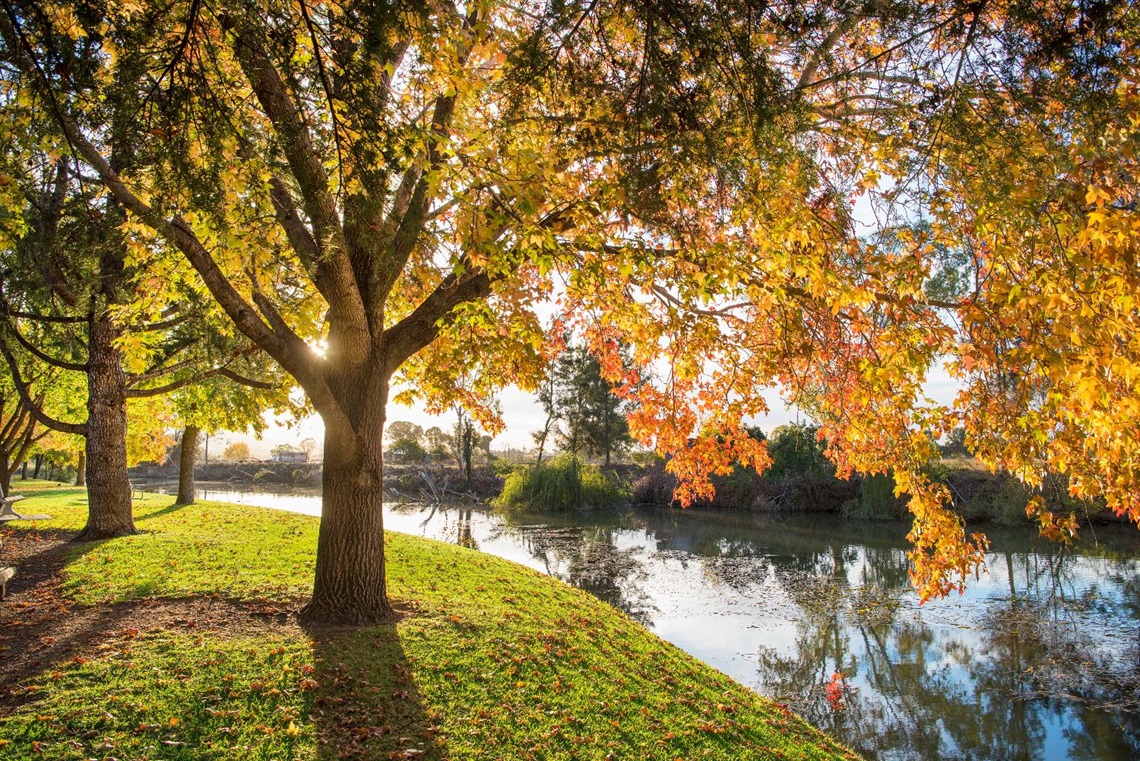 Lawson Park Mudgee river.jpg